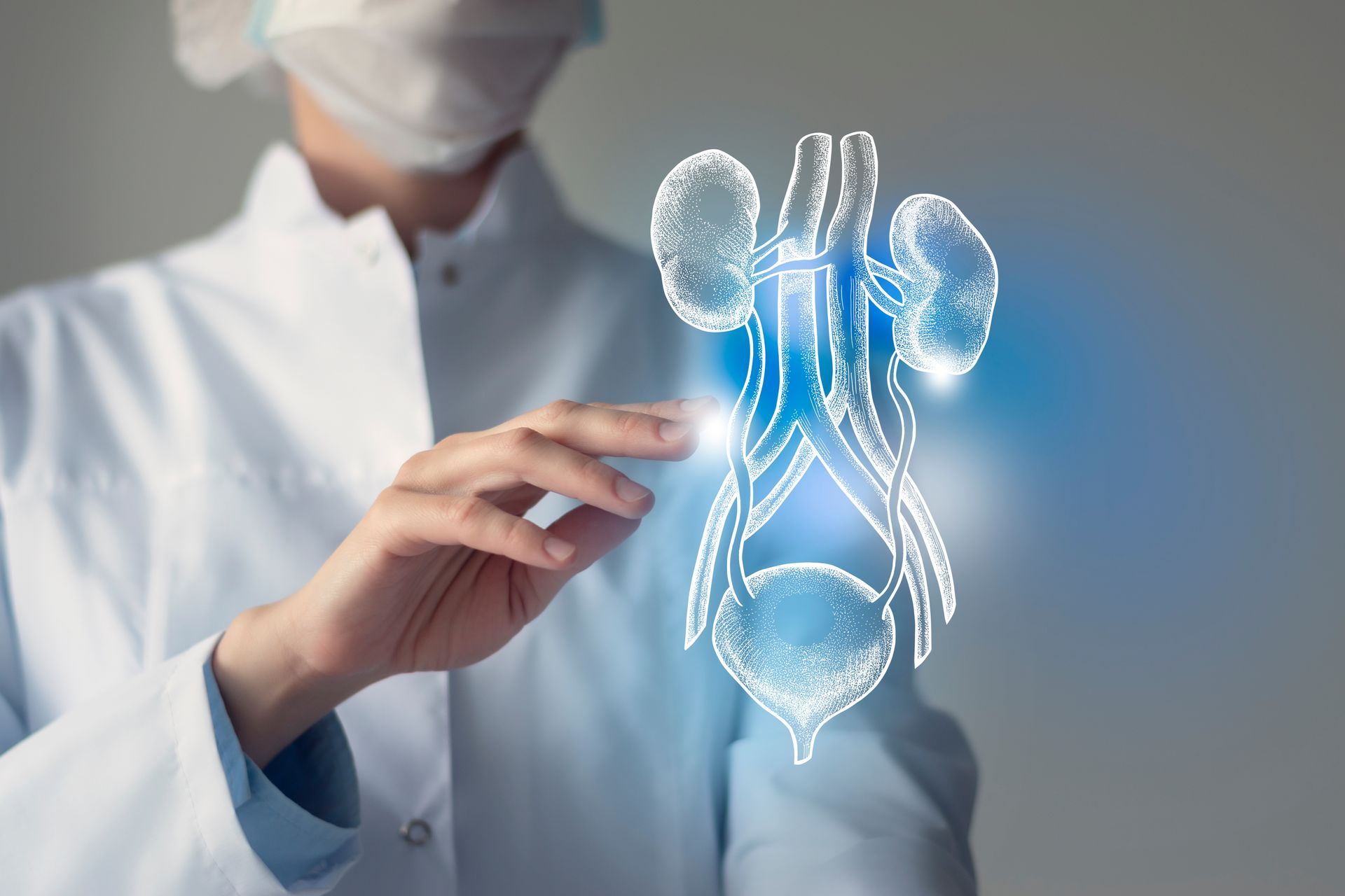 A doctor is holding a drawing of a kidney and bladder.