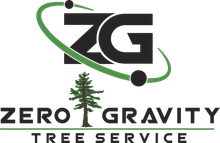 Zero Gravity Tree Service logo with stylized ZG, green orbit, and tree over text.