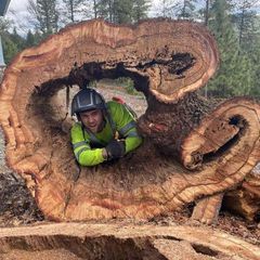 Person in a helmet and neon jacket posing through a hollowed log in a forest.
