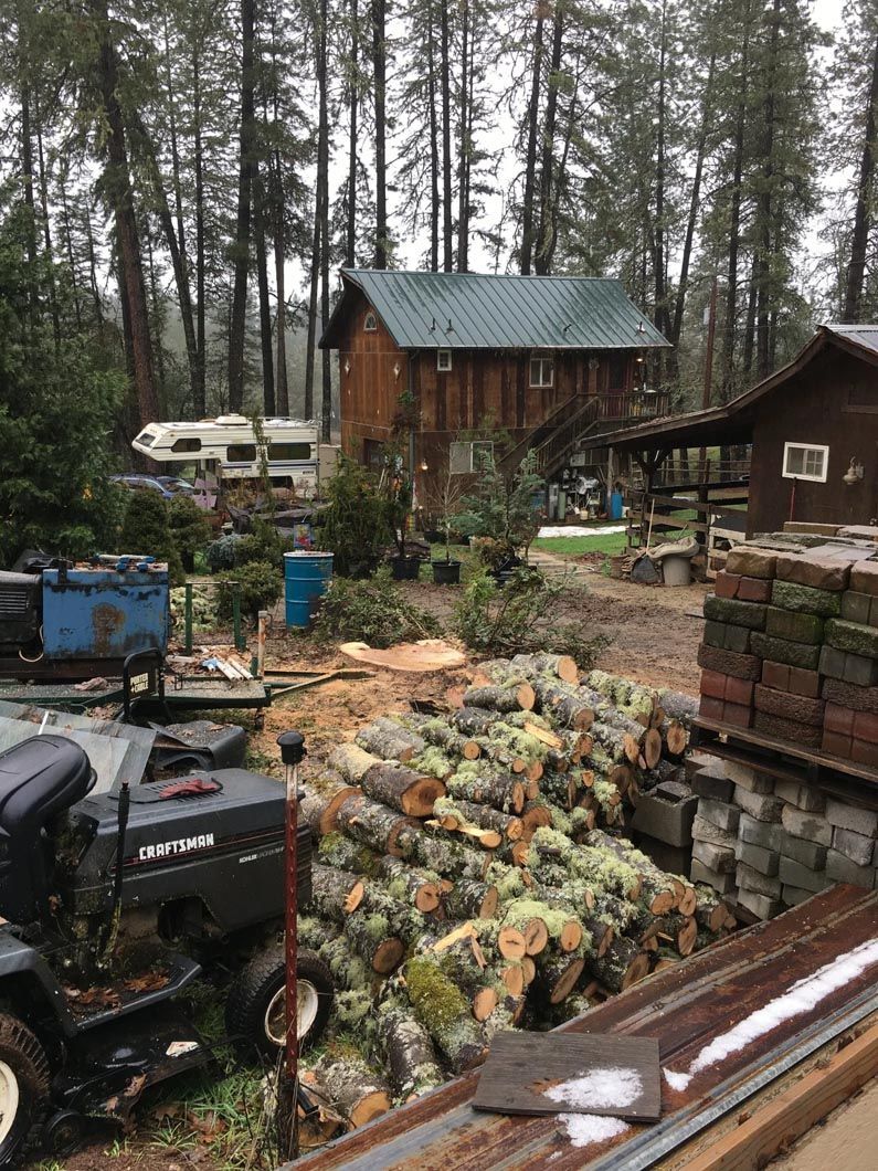Rustic cabin yard with stacked firewood, tools, and vehicles among tall trees