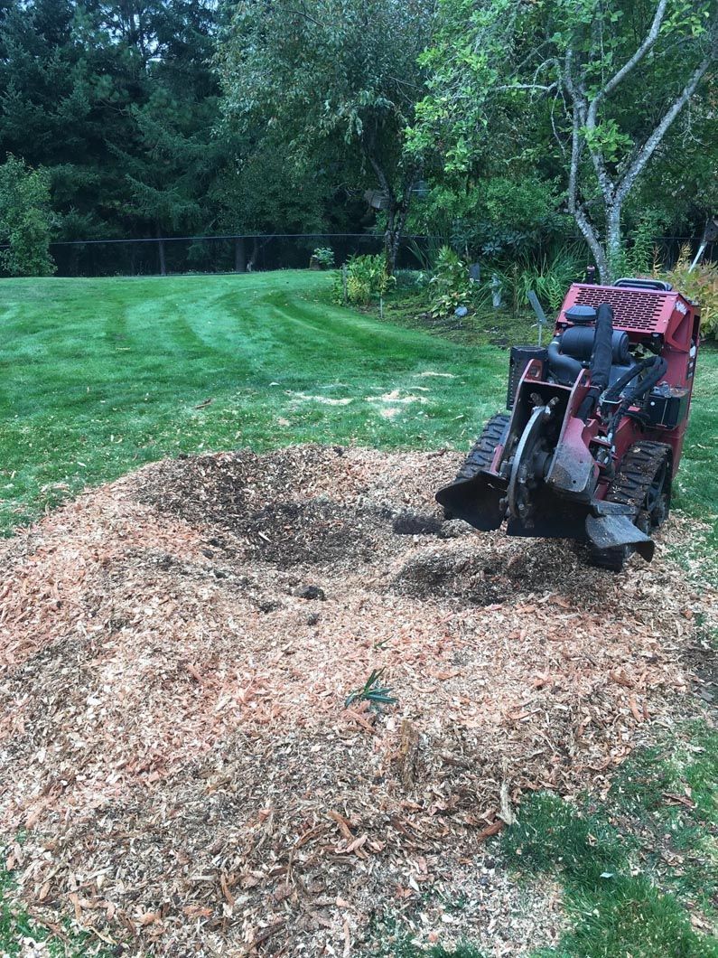 Red leaf blower/vacuum sitting on a large pile of wood chips in a grassy yard with trees nearby