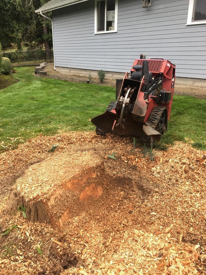 Compact tractor digging up a stump in a yard beside a gray house, with wood chips and soil scattered around.