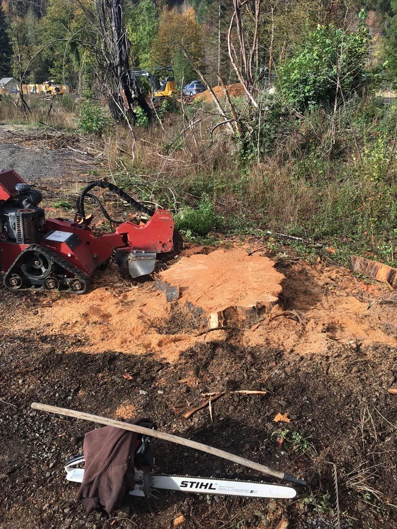 Red ATV parked beside a muddy dirt trail in a wooded area, with a shovel on the ground.