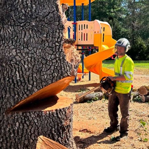 Worker in neon safety gear cutting a large tree trunk beside a playground