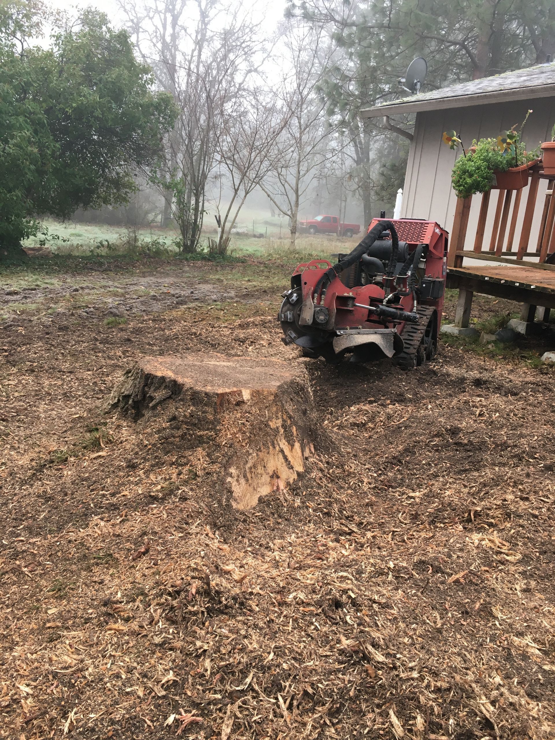 Red lawn mower by a large tree stump in a mulched yard beside a wooden porch on a foggy day