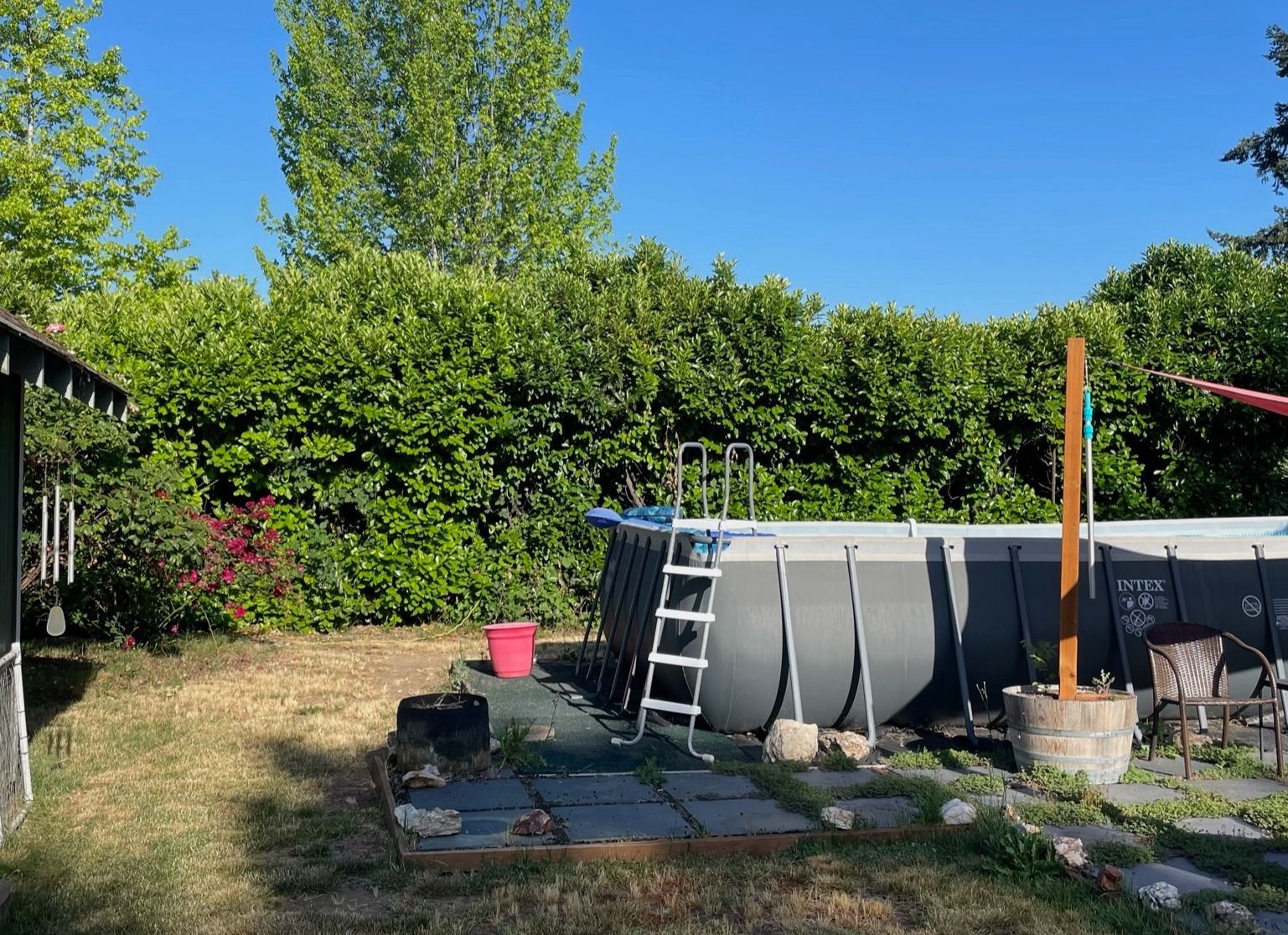 Backyard with above-ground pool, ladder, pink bucket, and hedge under a clear blue sky