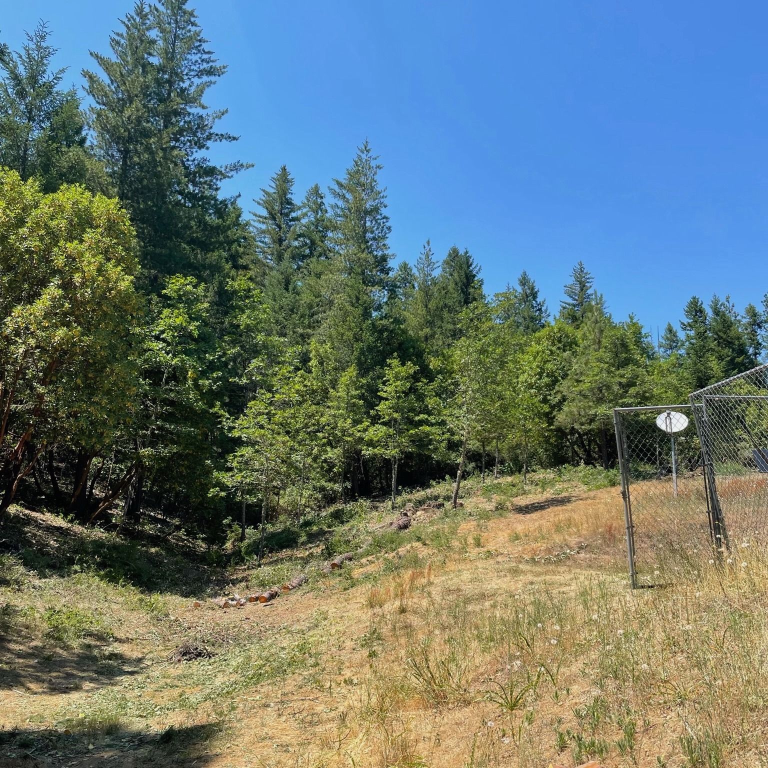 Wooded hillside trail under a bright blue sky, with a fenced area and white signpost on the right