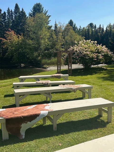 Picnic tables in a sunny park with trees and grass, some covered in snow.