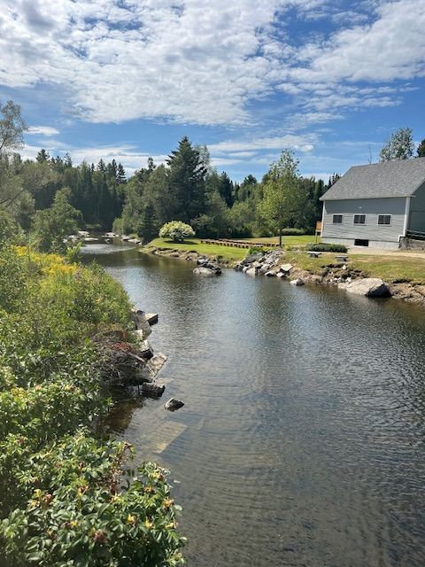 Calm river with rocky banks, green trees, and a white house under a bright blue sky