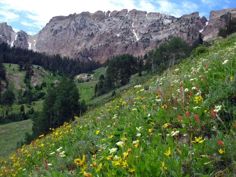 Cloudy mountain landscape with red autumn hills and a green valley below