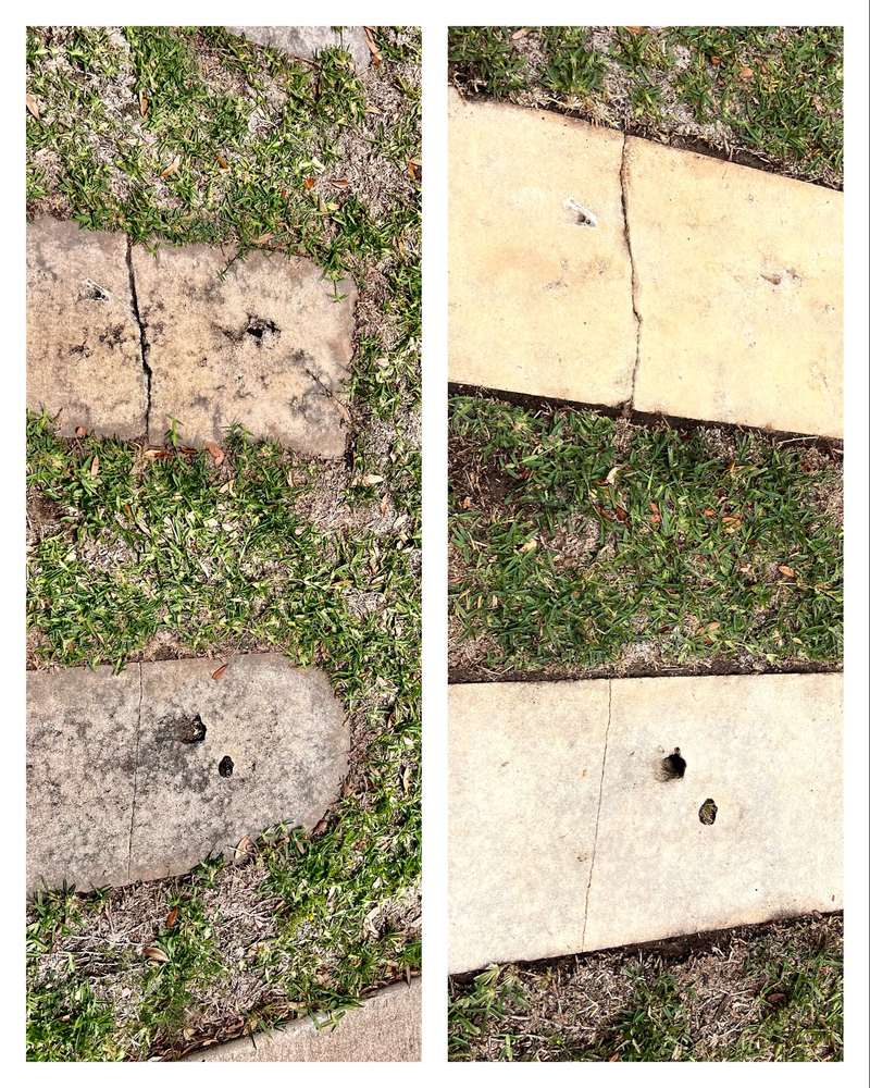 Before and After Picture of Brick Walkway in Grass | Buda, TX | Texas Roots Property Care
