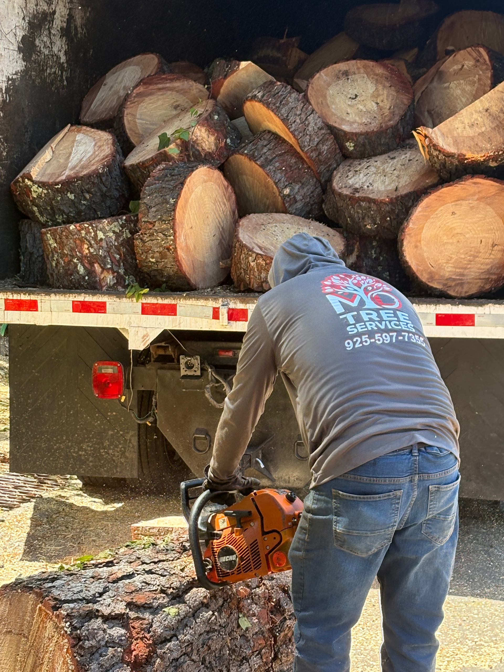 Emergency Tree Service Almeda County Contra Costa County Walnut Creek