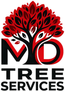 MD Tree Service Walnut Creek California Tree Services