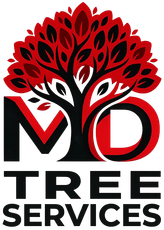 MD Tree Service Walnut Creek California