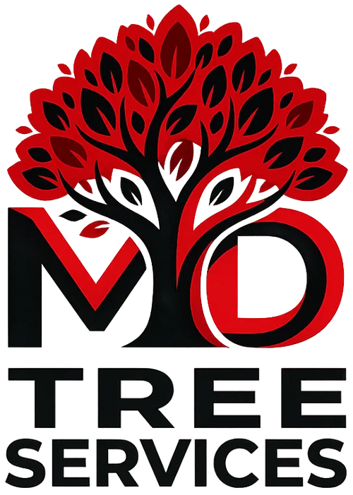 MD Tree Service Alameda County Contra Costa County