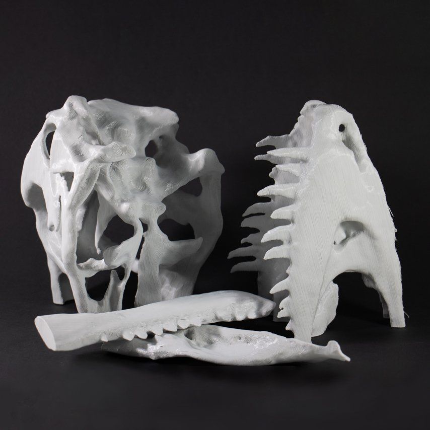 3D print dino skelet
