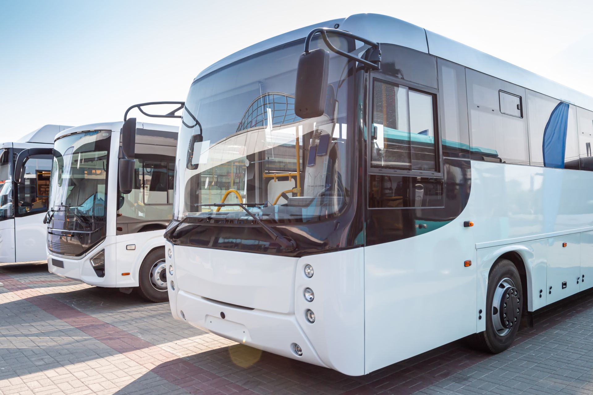 Row of white coaches parked in a lot, front bus in focus with tinted windshield.