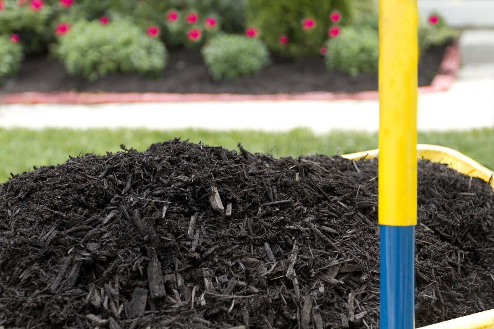 Landscaping, How Long Does Natural Mulch Last, Huron County, ON