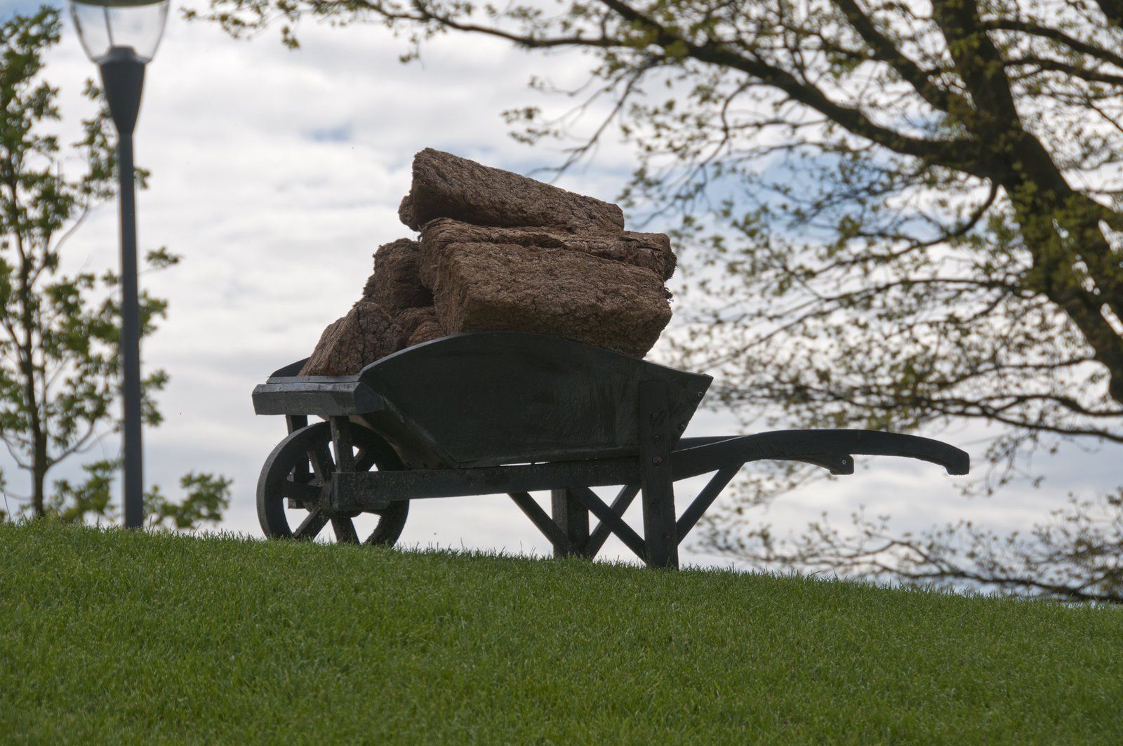 moss in the utility wagon
