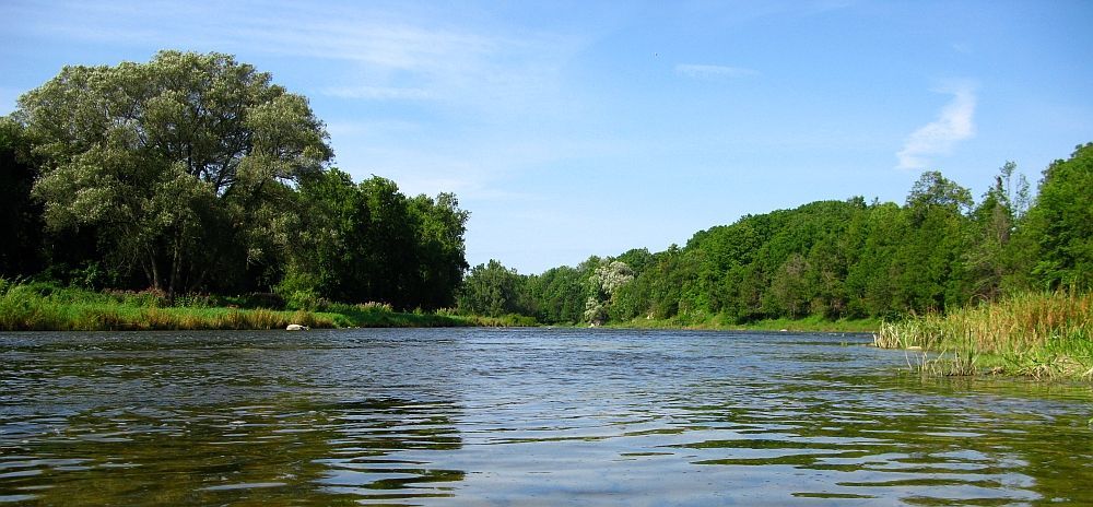 Calm river with rippling water, lush green trees lining both banks, and a blue sky overhead