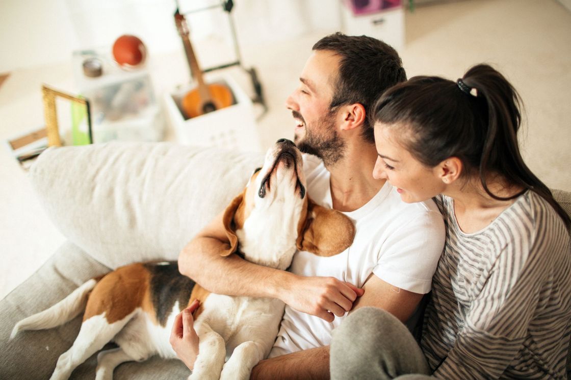 Couple with a dog