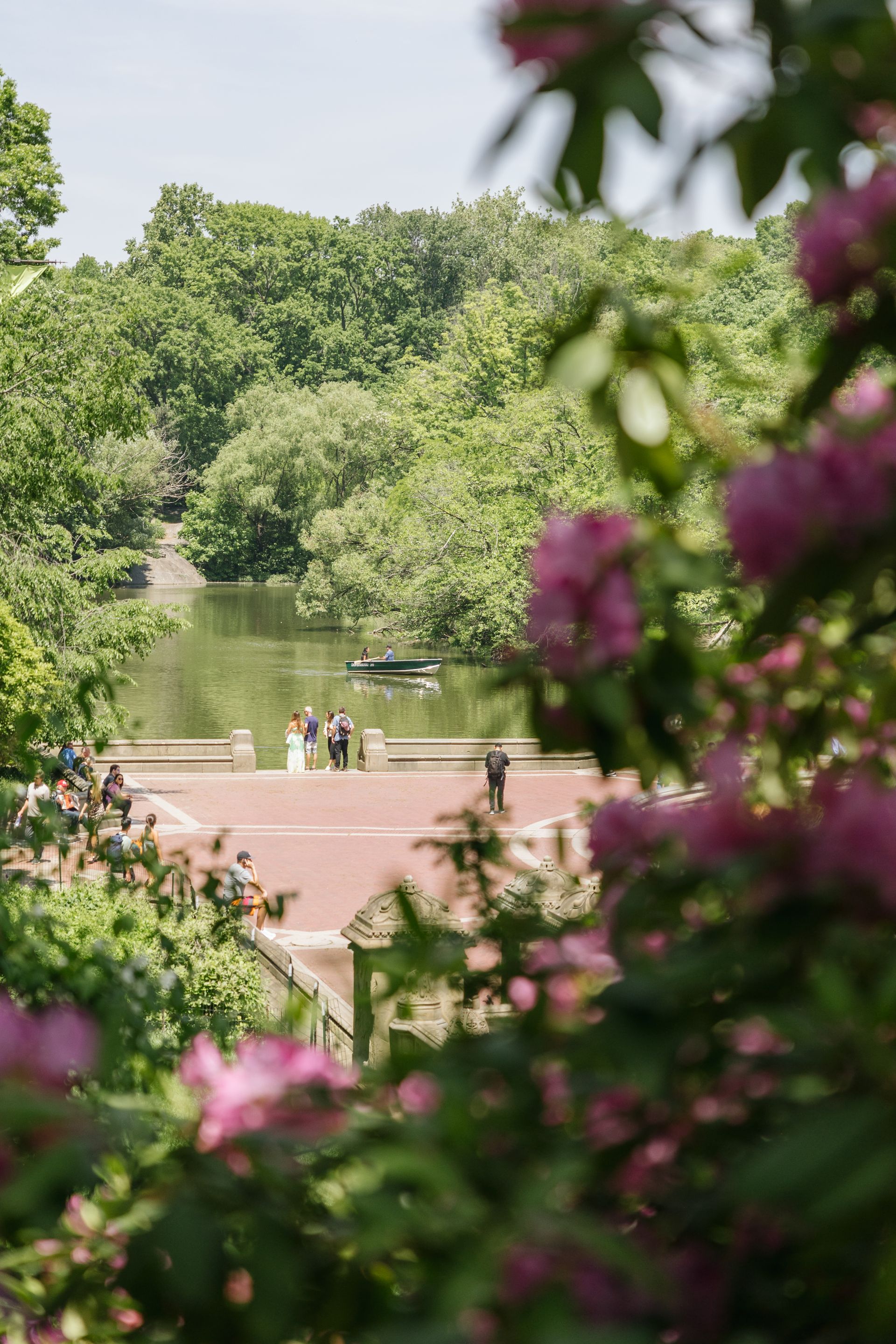 people in central park during summer