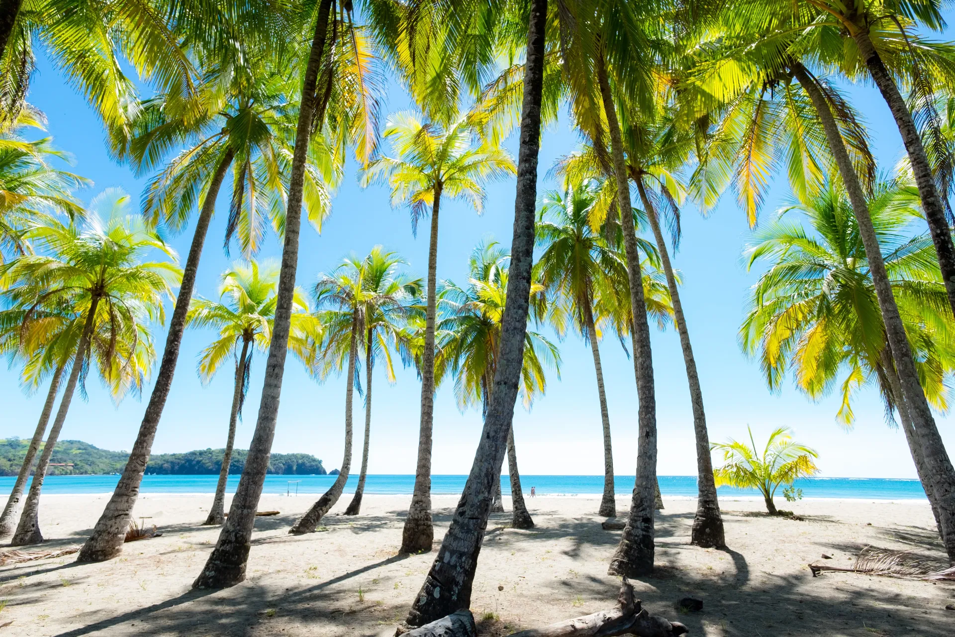 palm beach private Costa Rica