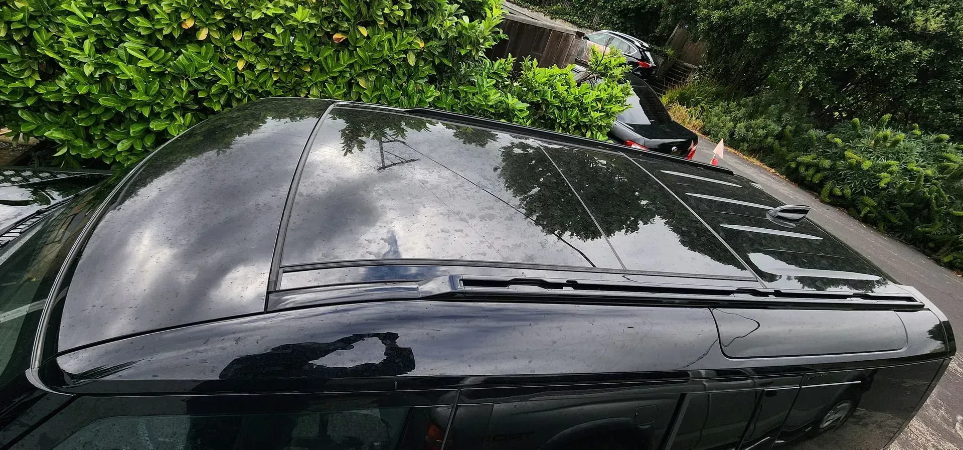 Black car roof with raindrops, reflecting trees and cloudy sky beside green hedges