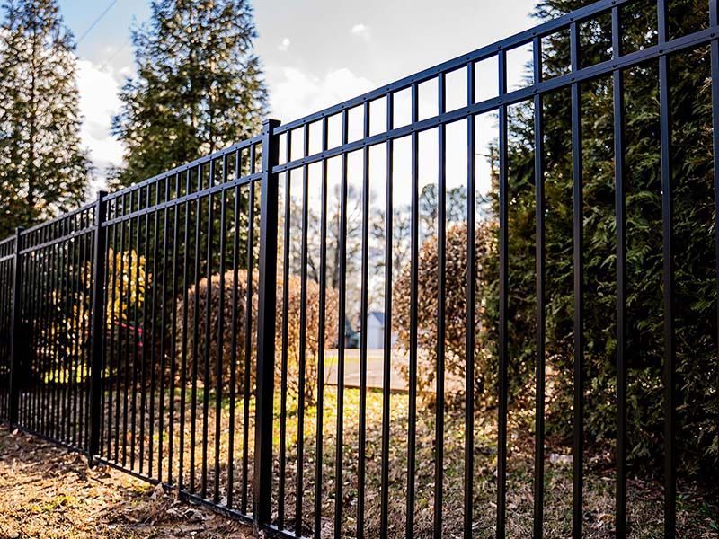 Black metal fence in a wooded park with sunlight and trees behind it