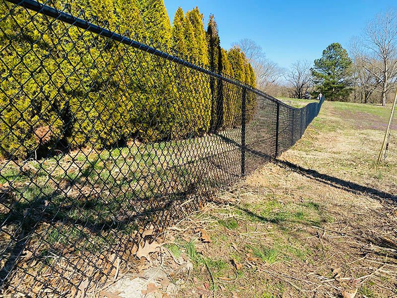 Chain-link fence along a grassy dirt path beside tall yellow-green shrubs under a blue sky