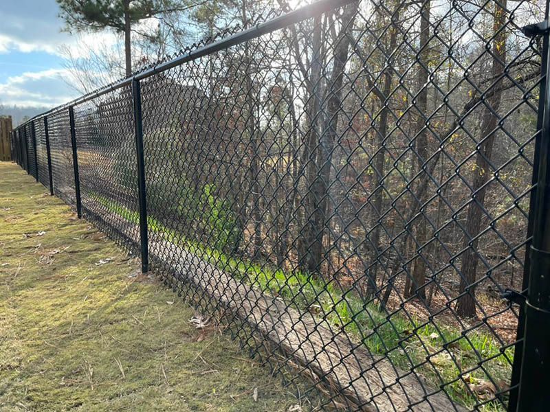 Black chain-link fence along a grassy path beside leafless trees under a cloudy sky