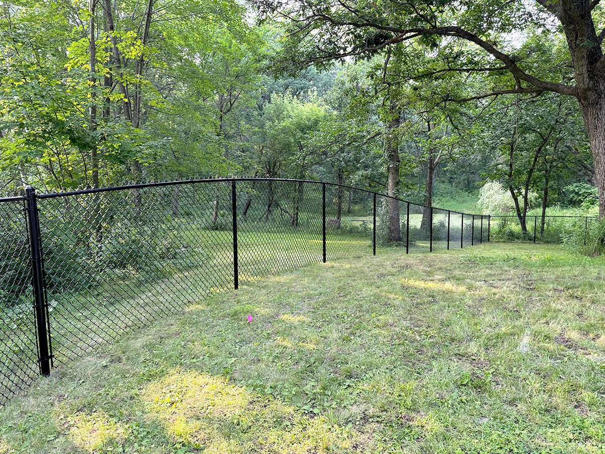 A black chain-link fence runs through a grassy, wooded area, receding into the distance.