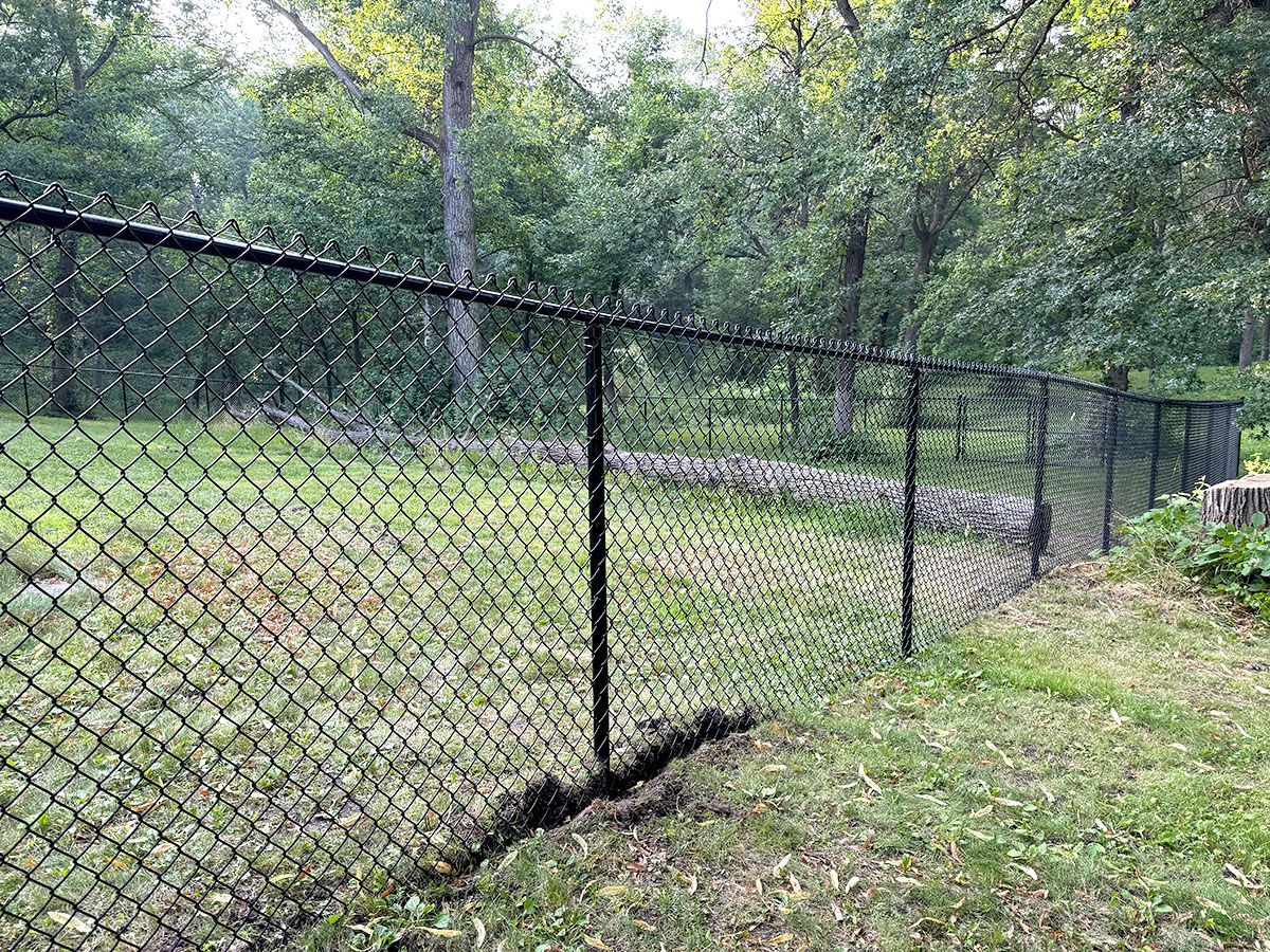 A black chain-link fence stretches across a grassy area toward a wooded backdrop.