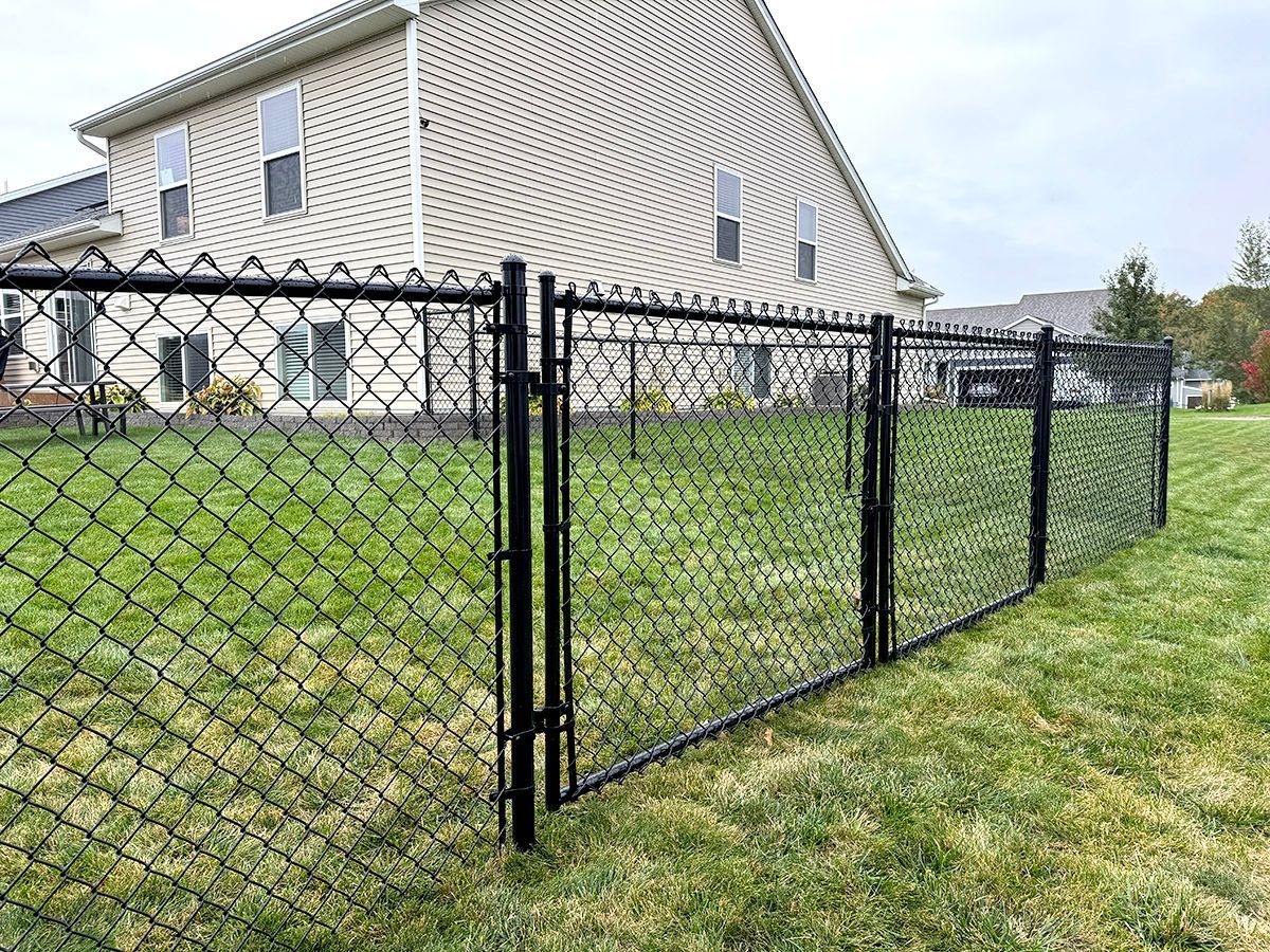 Black chain-link fence with a walk-through gate in a residential backyard with a house in the background.
