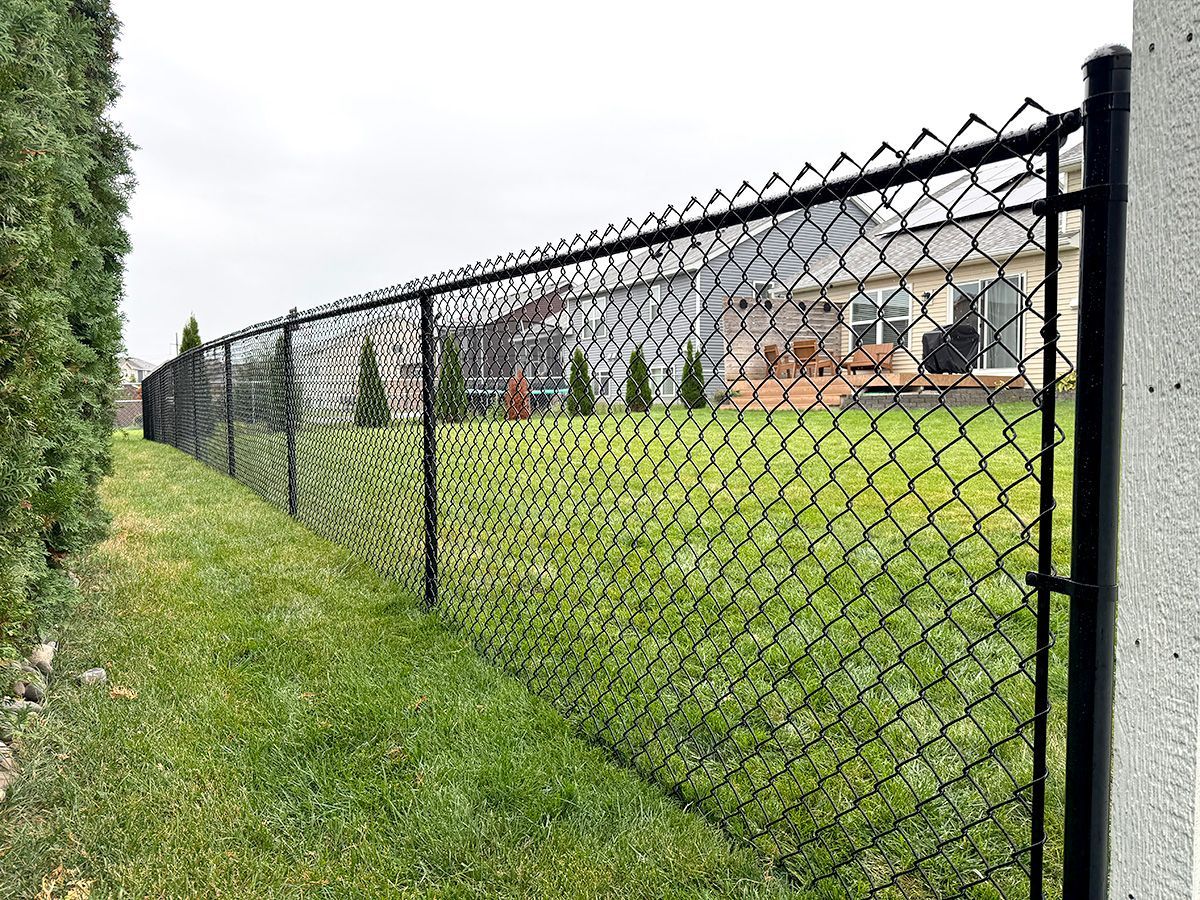 A black chain-link fence runs along a green grass lawn, with houses and trees visible in the background.