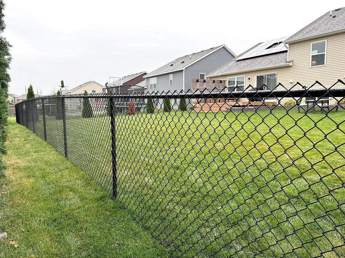 A black chain-link fence runs diagonally across a green residential lawn, with suburban houses in the background.