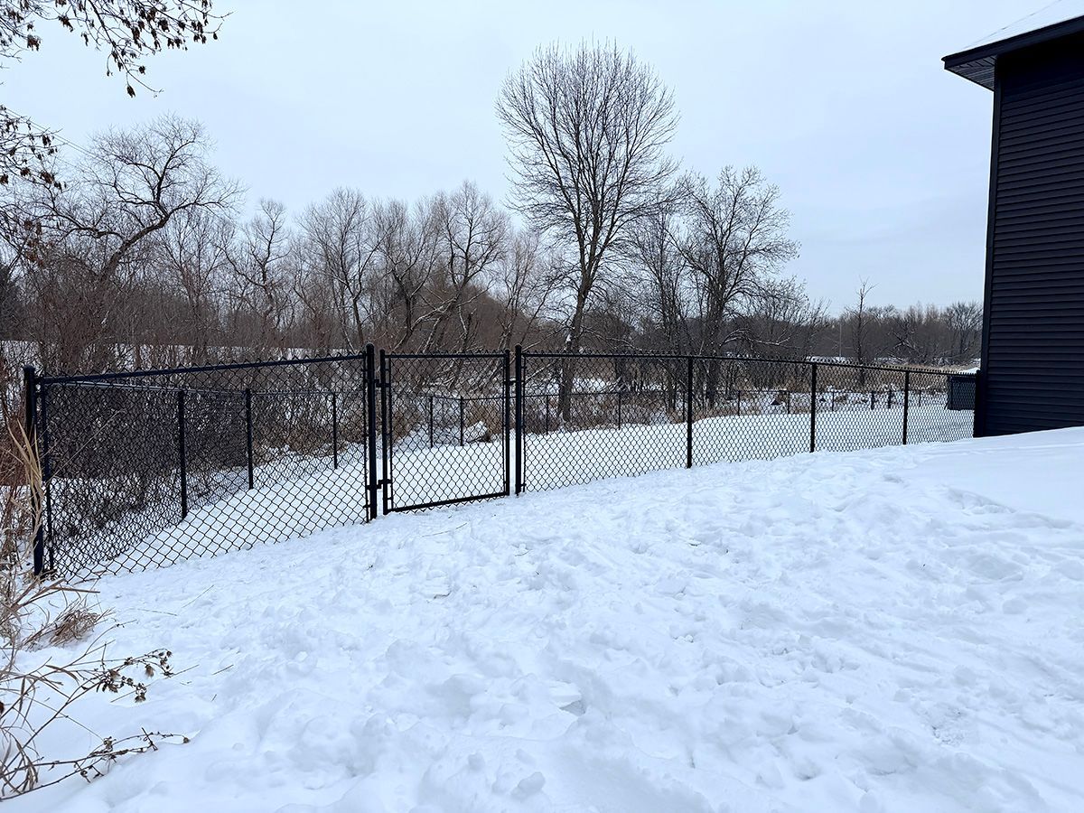 A snow-covered backyard featuring a black chain-link fence, a gate, and bare trees under a cloudy sky.
