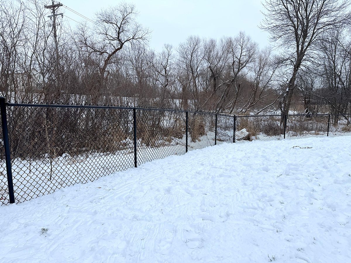 A black chain-link fence runs along the edge of a snow-covered yard, bordering a wooded area under a cloudy sky.