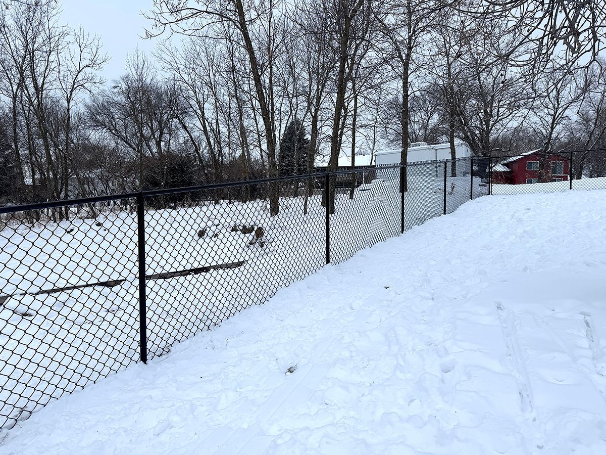 A black chain-link fence runs through a snow-covered yard with bare trees in the background under an overcast sky.