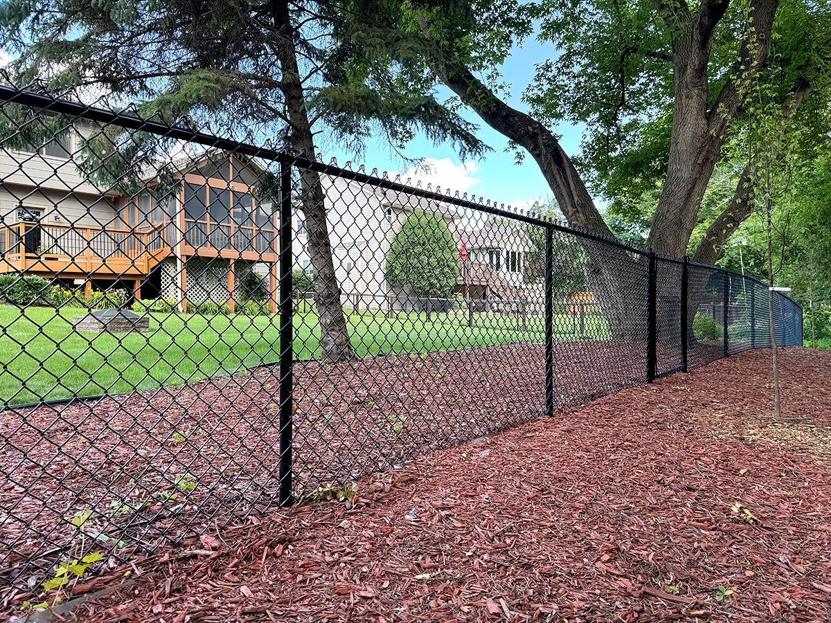 A black chain-link fence runs through a grassy backyard with wood mulch in the foreground and trees in the background.