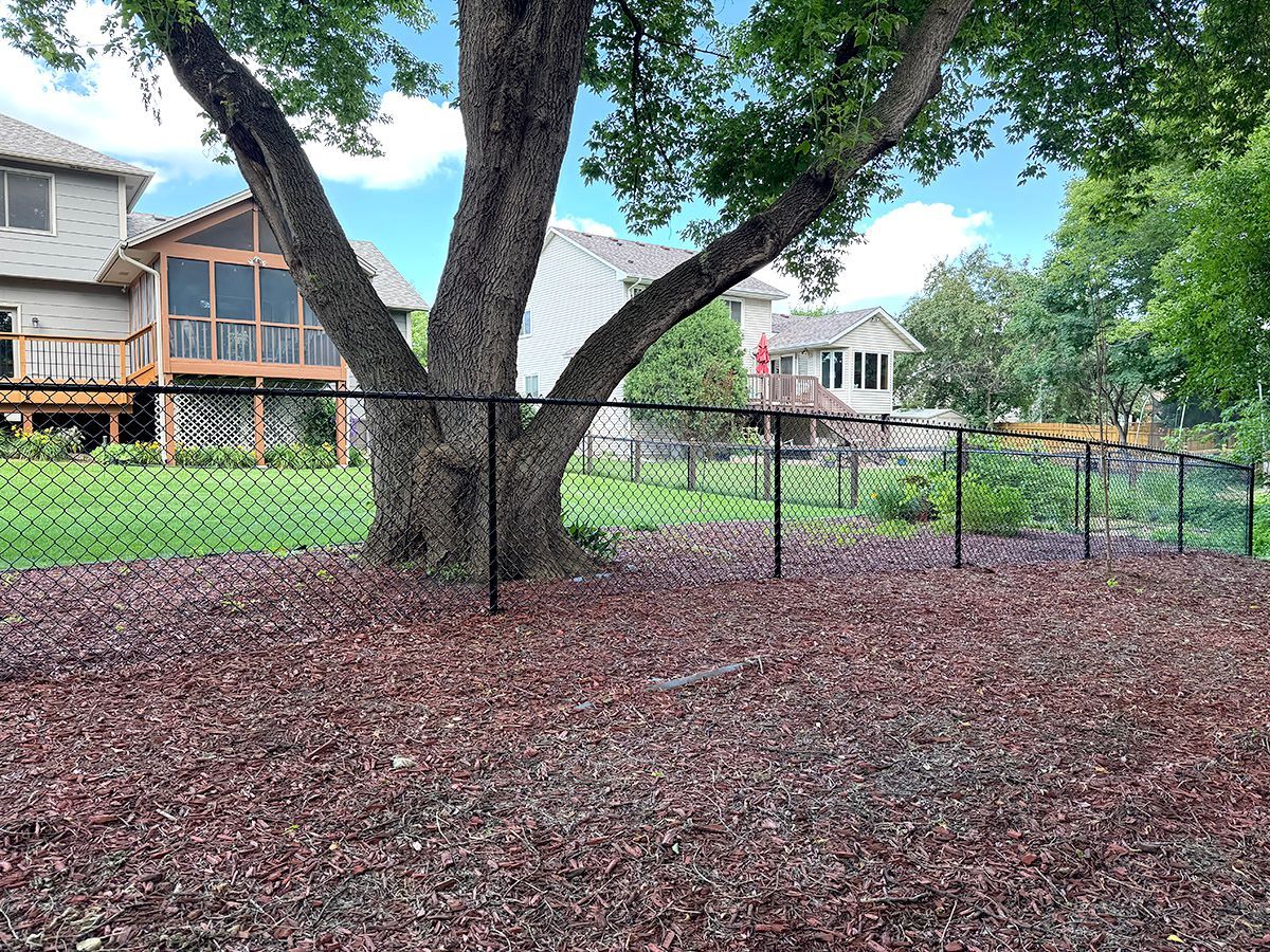 A black chain-link fence runs through a backyard with a large tree, mulch ground cover, and houses in the background.