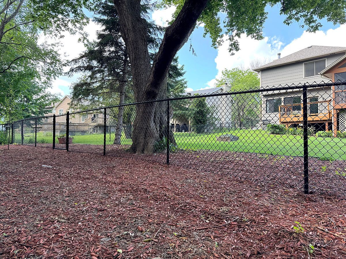 A black chain-link fence runs through a backyard with brown mulch in the foreground and a house in the distance.