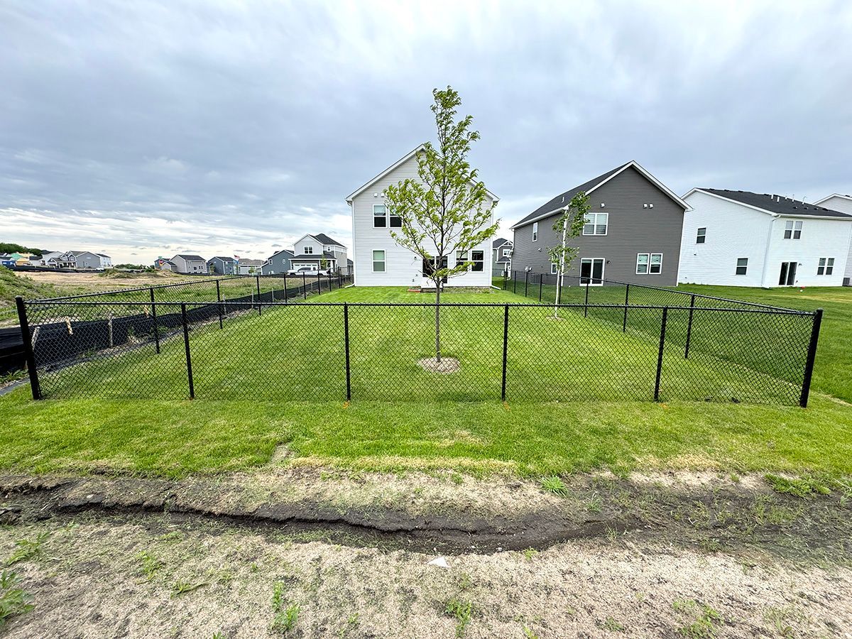 A suburban backyard with a green lawn and a small tree, enclosed by a black chain-link fence under a cloudy sky.