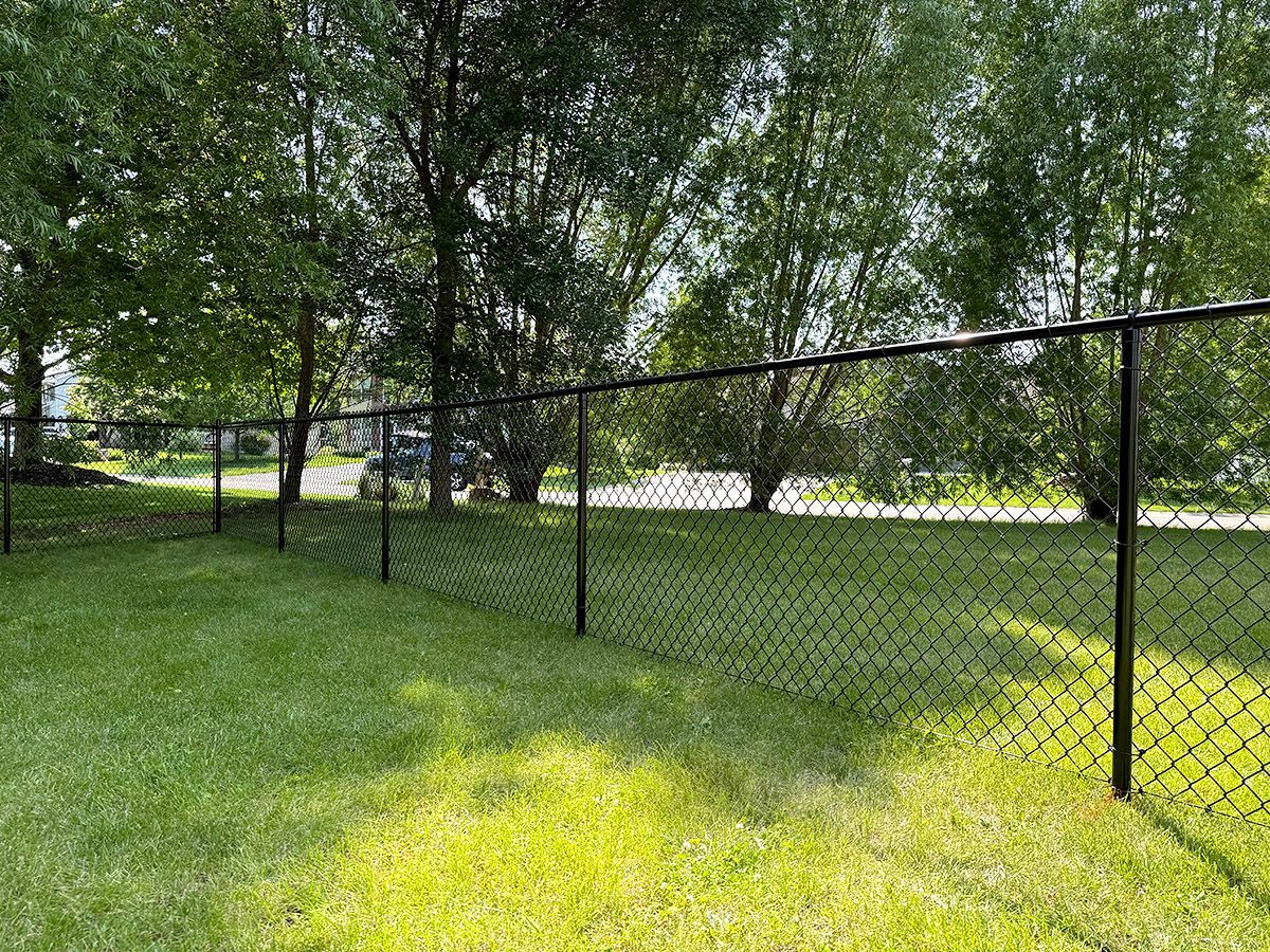 A black metal chain-link fence stretches across a green, grassy yard backed by tall, leafy trees.