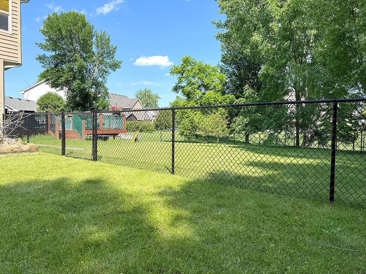 A black chain-link fence divides a lush green backyard, with trees and a deck visible in the background under a blue sky.