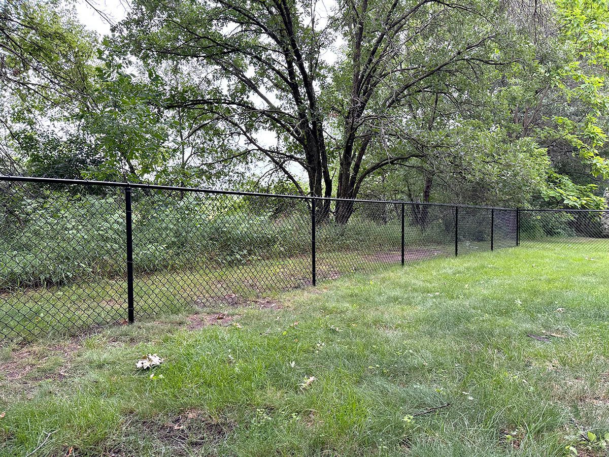 A black chain-link fence divides a lush green lawn from a wooded area with trees under a cloudy sky.