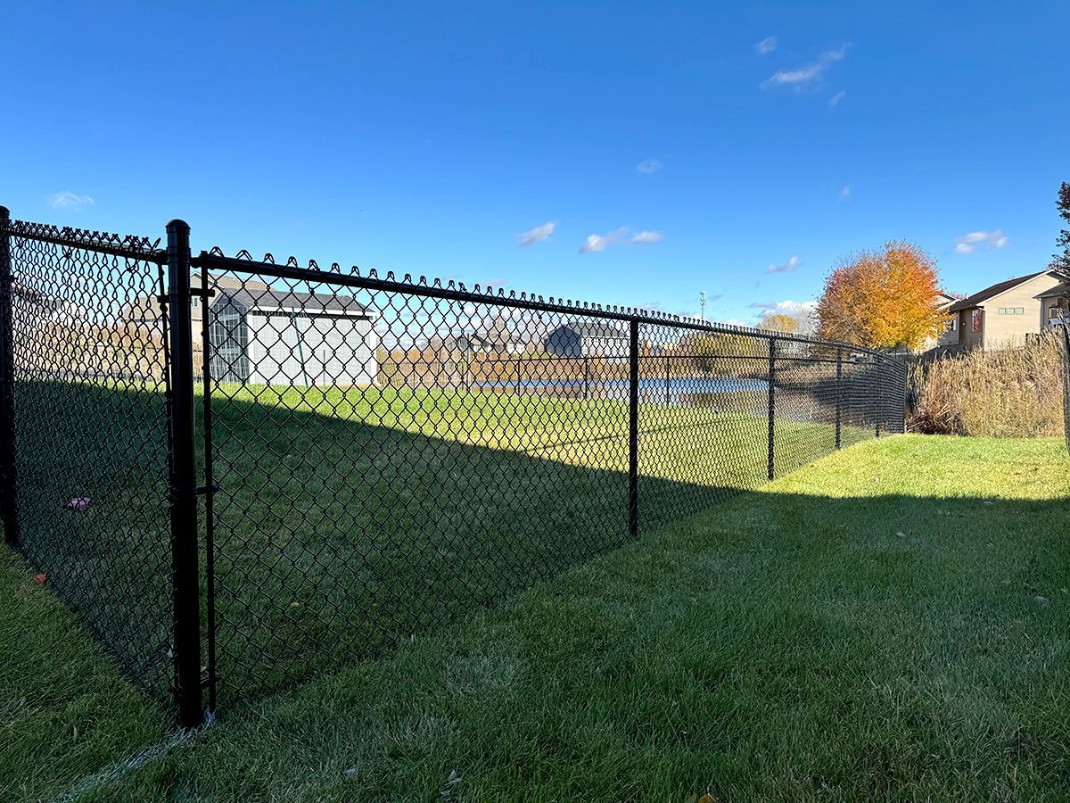 A black chain-link fence encloses a green grassy yard under a bright blue sky on a sunny day.