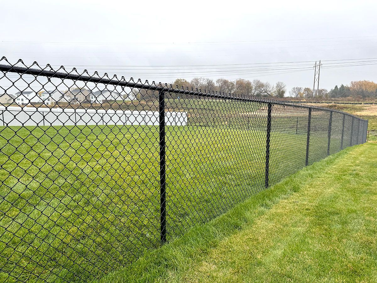 A black chain-link fence lines a grassy field under an overcast sky, with a second white fence visible in the background.