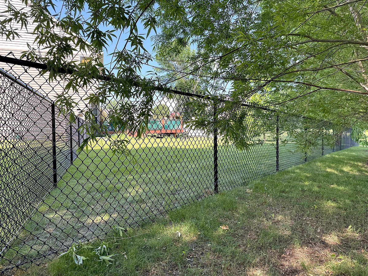 A black chain-link fence runs along a grassy yard under the shade of trees on a sunny day.
