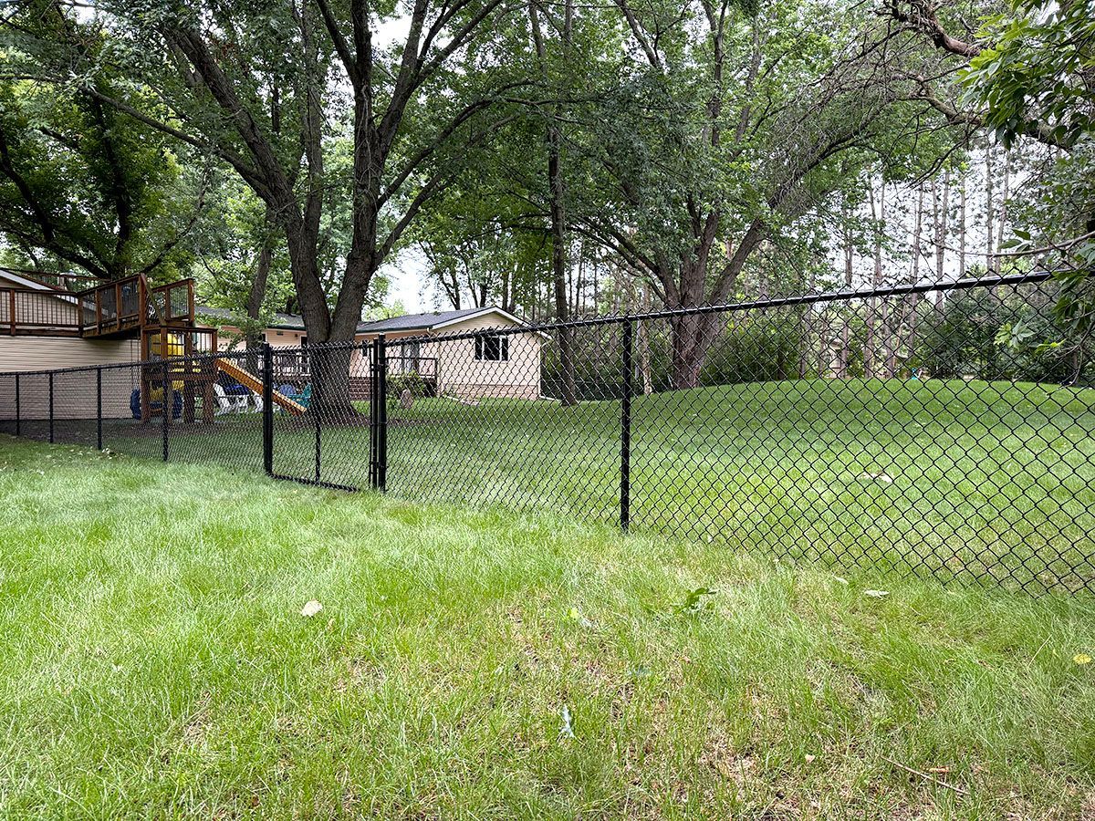 A black chain-link fence divides a grassy backyard, with a house and trees visible in the background.